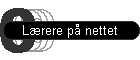 Lrere p nettet